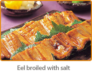 Eel broiled with salt